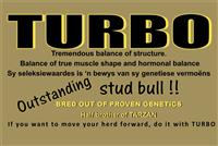 TURBO