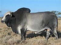 K6K 3094