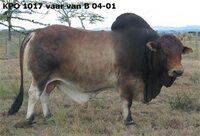 KPO 1017 vaar van B 04-001