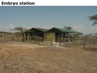 Embryostation