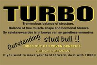 TURBO